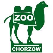 XI Wieczór Marzeń w Zoo logo