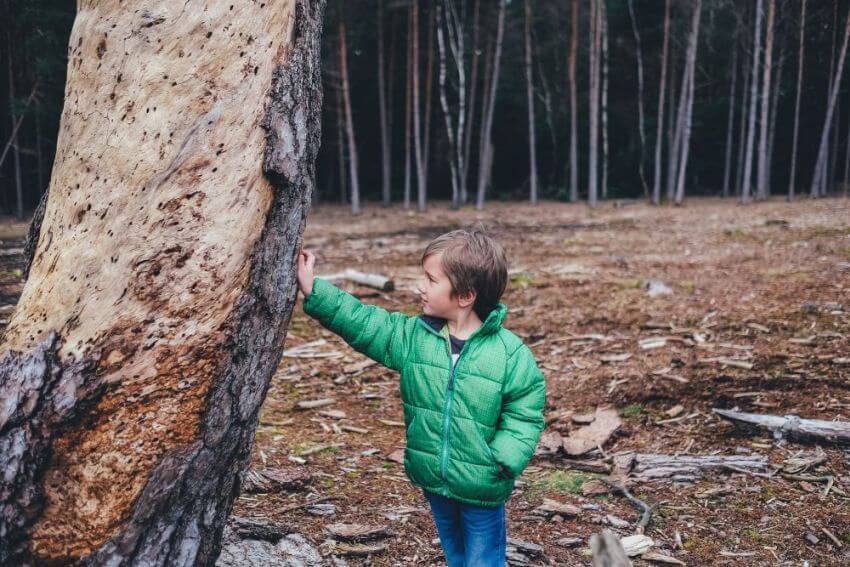 chłopiec bawiący się w lesie