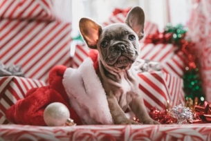 6 sposobów, by prezenty świąteczne były zawsze trafione